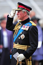 Load image into Gallery viewer, General Epaulets
