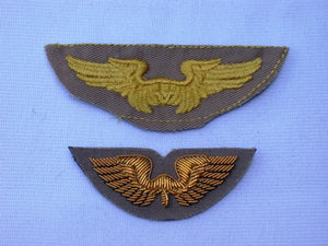 Flight Instructor Wing Insignia
