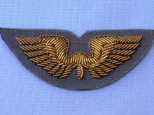 Load image into Gallery viewer, Flight Instructor Wing Insignia
