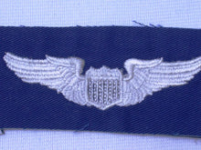 Load image into Gallery viewer, Pilot Wing Insignia
